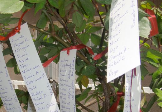 Hıdırellez Dilek Duası Okunuşu ve Anlamı Hıdırellez Dilek Duası Okunuşu ve Anlamı